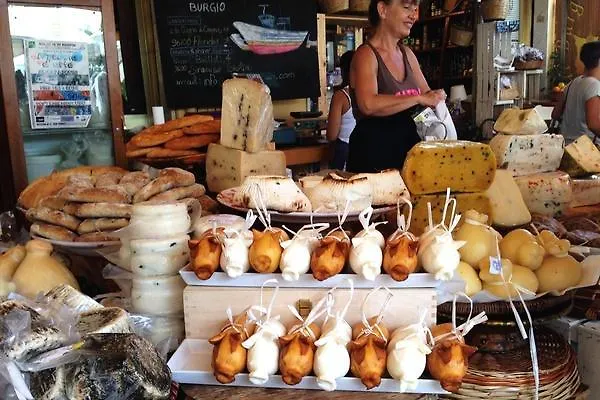 奥提伽达姆斯古典公寓 公寓 *