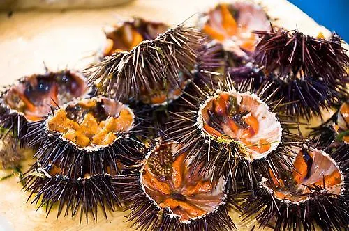 公寓 奥提伽达姆斯古典公寓 锡拉库扎