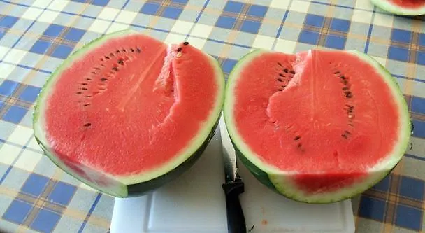 公寓 奥提伽达姆斯古典公寓 *